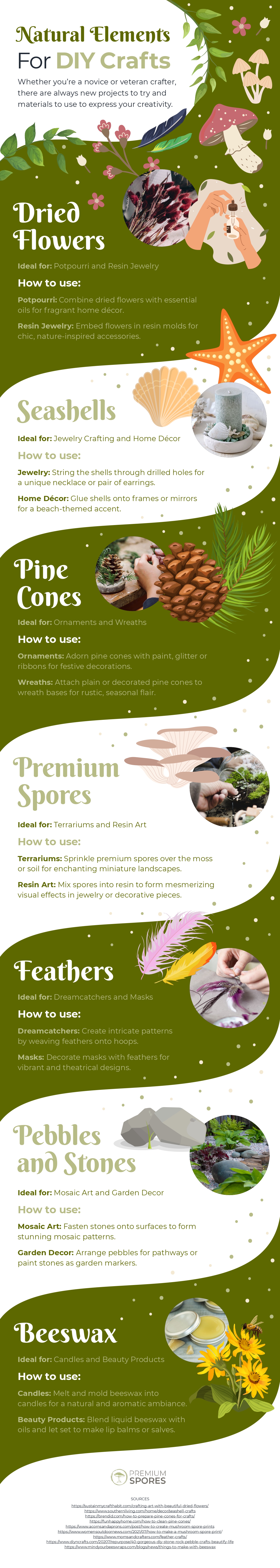 mushrooms for sale